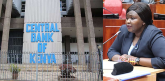 Susan Jemutai Koech: New CBK Deputy Governor Who Wants To Bring Back Interest Rate Cap & Lower Cost of Credit