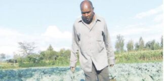 Joseph Rotich: Tractor Driver Quits Job To Sell Cabbages, Manages To Buy Three Plots