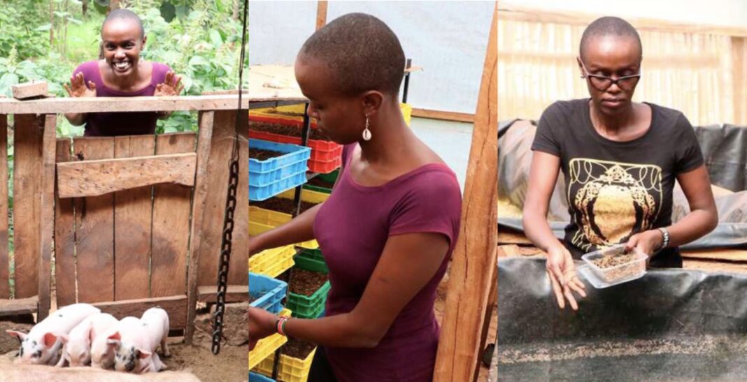Sharon Mutiga: Former Air Hostess Finds Success In Pig, Fish Farming