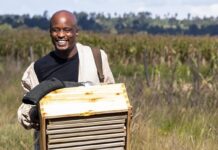 Jason Runo: My Success Journey To Making It As A Beekeeper