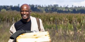Jason Runo: My Success Journey To Making It As A Beekeeper