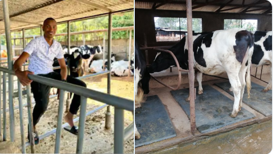 Inside Samidoh's Lucrative Farm in Nyandarua County: Making Upto KSh 11,000 Daily