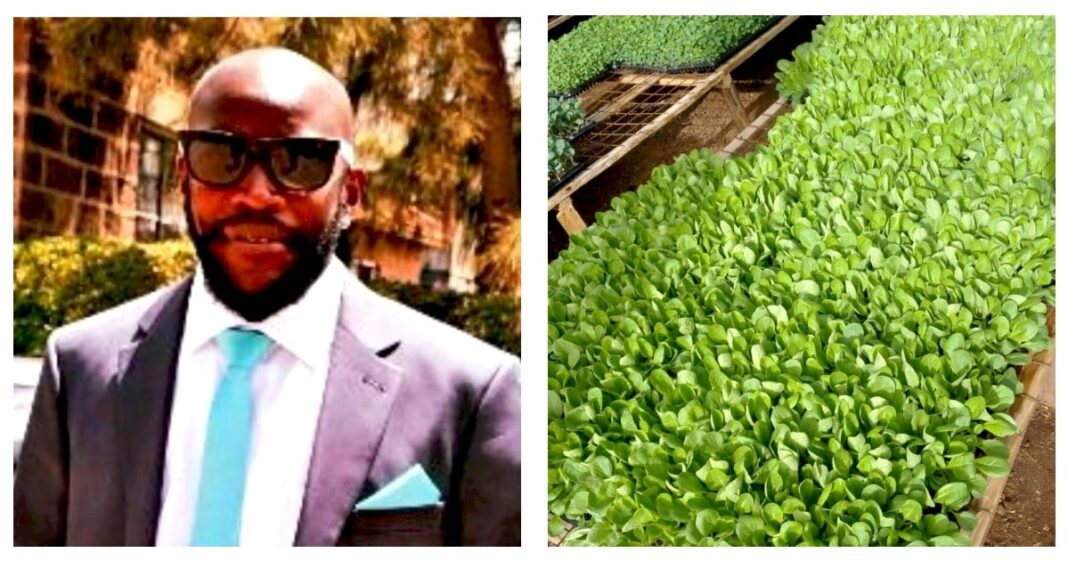 Anthony Kiptoo: Alcohol Addict Who Turned His Life Around, Now Making Over Ksh180K A Month From Seedlings