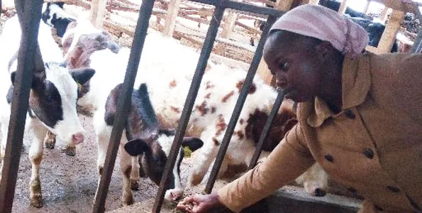 Loise Marangu: Ex-Equity Employee Now A Millionaire Farmer Thriving In Dairy And Watermelon Farming