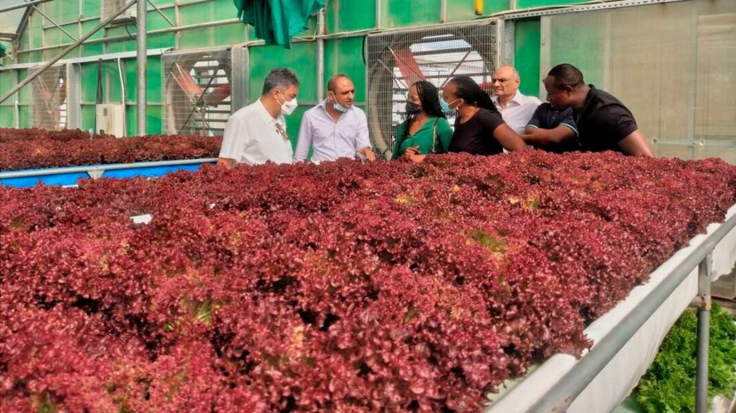 Kanti Shah: Tycoon Who Sold Menengai Oil Refineries In Nakuru To Run Multi-Million Businesses in Dubai