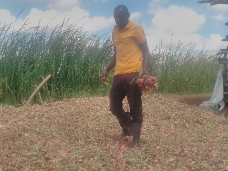 Peter Marwa: Kisii University Graduate Who Quit Finance Job Hunt To Mint Millions From Onion Farming