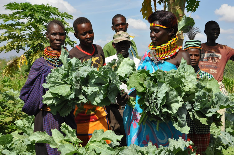 Stephen Kibathi: How I Rose From Earning Ksh 35 Bob A Day As A Carpenter To Making Up To Ksh 3000 A Day Selling Sukuma Wiki In Kiambu