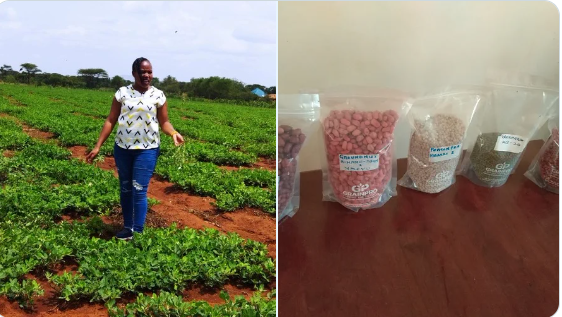 Agnes Waithera: University Graduate Making Up To Ksh 500,000 From Groundnut s