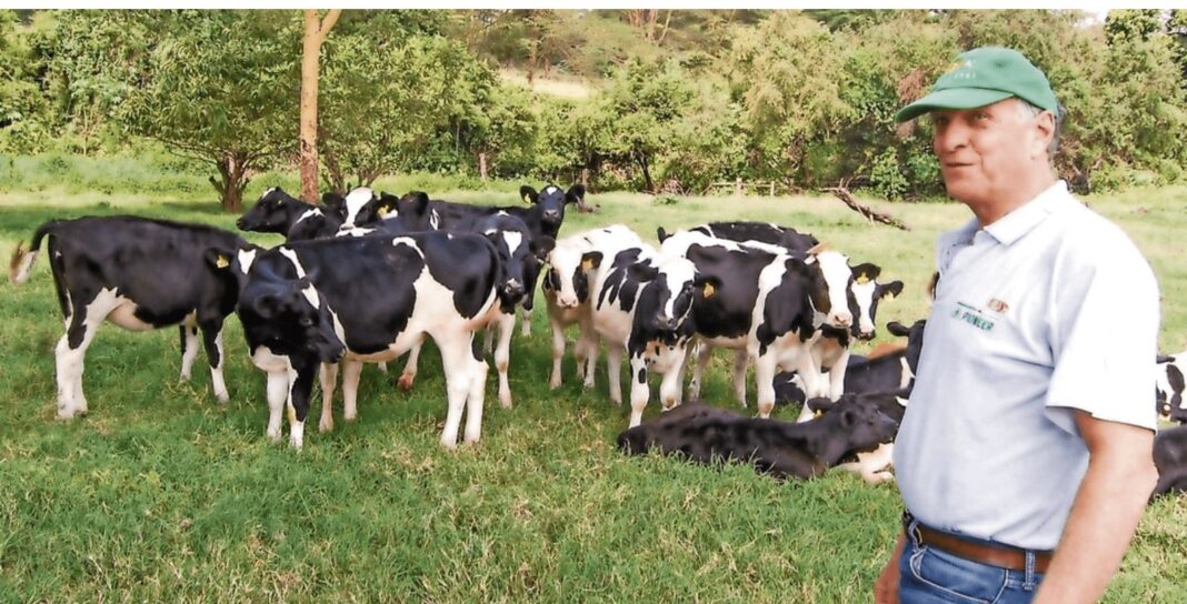 Gogar Farm: How Rongai Farm Became Leading Exporter Of Dairy Cows In East Africa