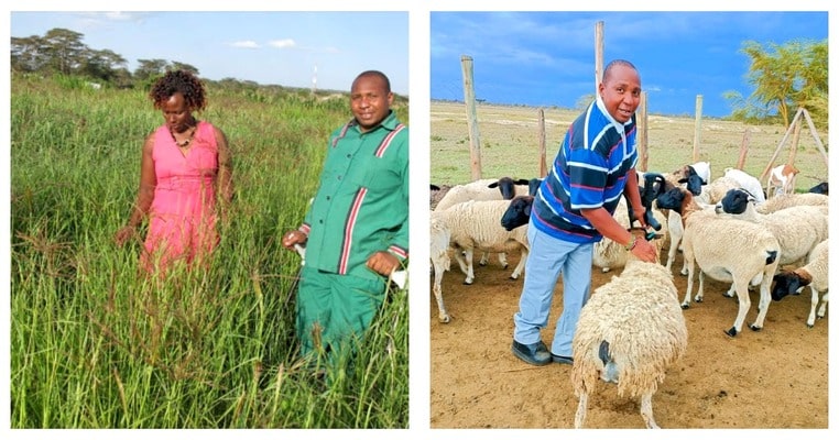 From MP To Farmer: Inside Ole Sankok’s 500 Acre Cattle Ranch In Narok