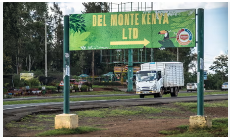 Del Monte Kenya: Ownership, Growth, Controversy, And Land Disputes