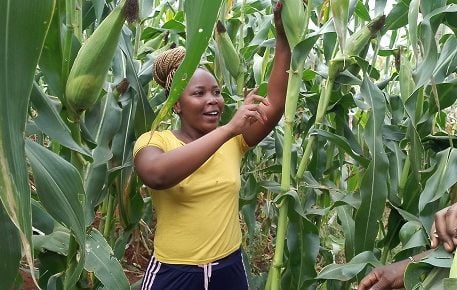 Grace Kamande: How I Turned Ksh 250,000 From A Husband-To-Be Into A Flourishing Maize Farming Venture