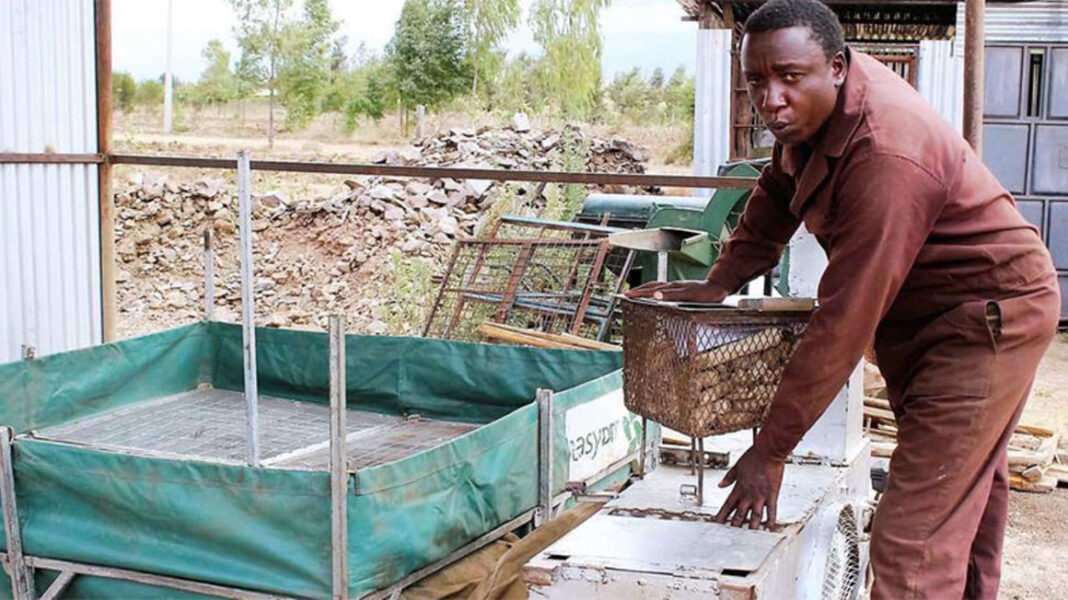 David Burii: Class Eight Dropout Making Machines Drying 500 Kgs Of Maize In 3 Hours, Earns Up To Ksh 1.6 Million