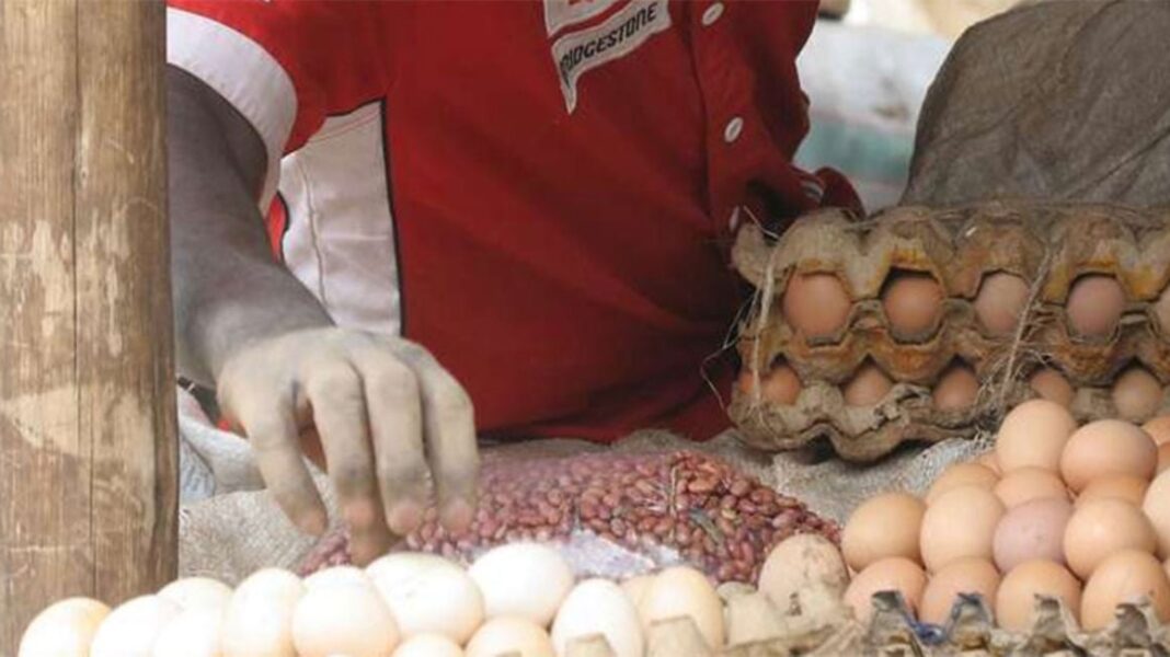 Joseph Waswa: Bungoma Farmer Earning Big From Poultry Farming