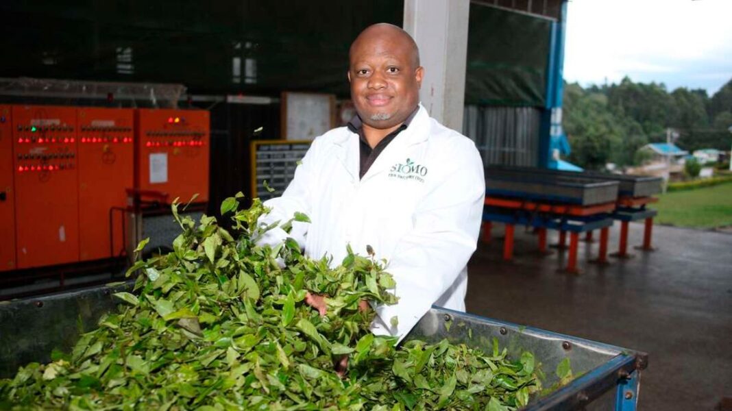 Robert Koech: We Sold Our Ksh400m Home In Nairobi To Establish A Multi-Million Tea Factory In Bomet County