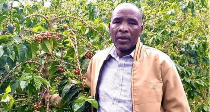 oseph Soi: Narok Farmer Who Ditched Maize Planting To Strike Gold In Coffee Cultivation