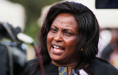 Phideli Wangari: 48 Year Old With The Most Dangerous Job In Kenya