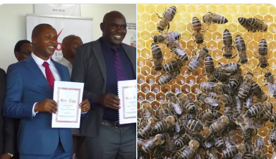 Kyalo Mutua: Beekeeper Who Turned Ksh 300K Capital Into A Multi-Million Business