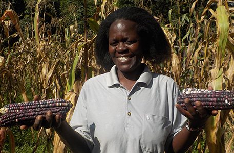 Gentrix Naliaka: Bungoma Farmer Who Dumped White Maize Farming To Strike Gold In Purple Maize Cultivation