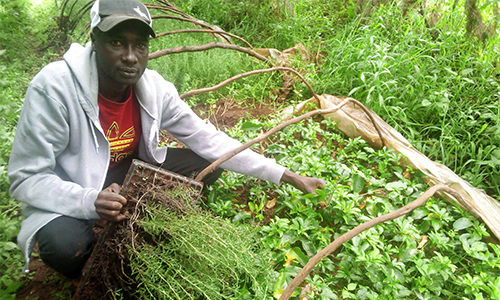 Jackson Sawe: Unemployed University Graduate Who Found Fortune In Passion Fruit Farming