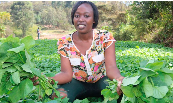 Ceciliah Wangui: How I Earn Up To Ksh 200,000 On My Three-Quarter Acre ...