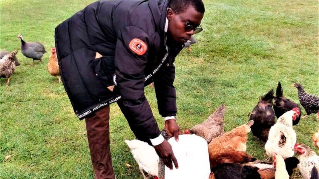 Meet Three Siaya Siblings Who Started Poultry Farming with Ksh 10,000 Capital and Now Own More Than 1000 Chickens