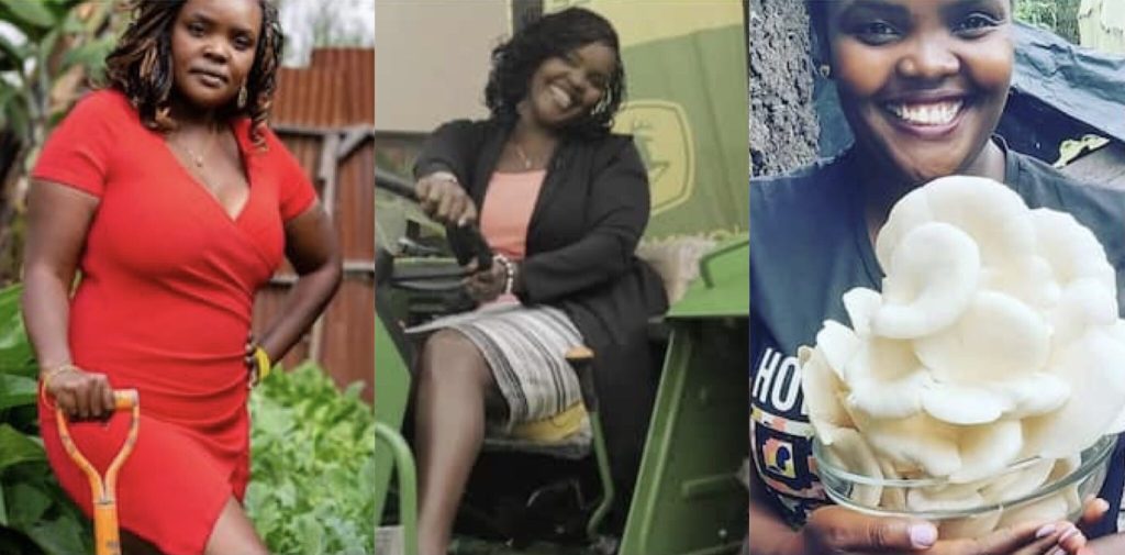 Wangari Kuria: Farmer Making Profits Of Up To Ksh400k In Six Growing Mushrooms