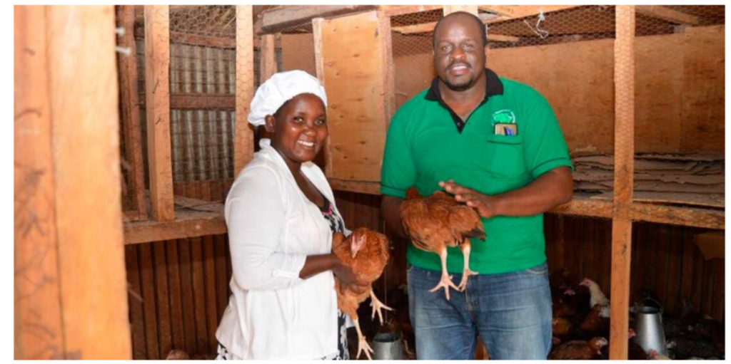 Andrew Makatiani: How Kakamega Farmer Ventured Into Poultry Business, Made Ksh3.4 Million Profit In His First Year