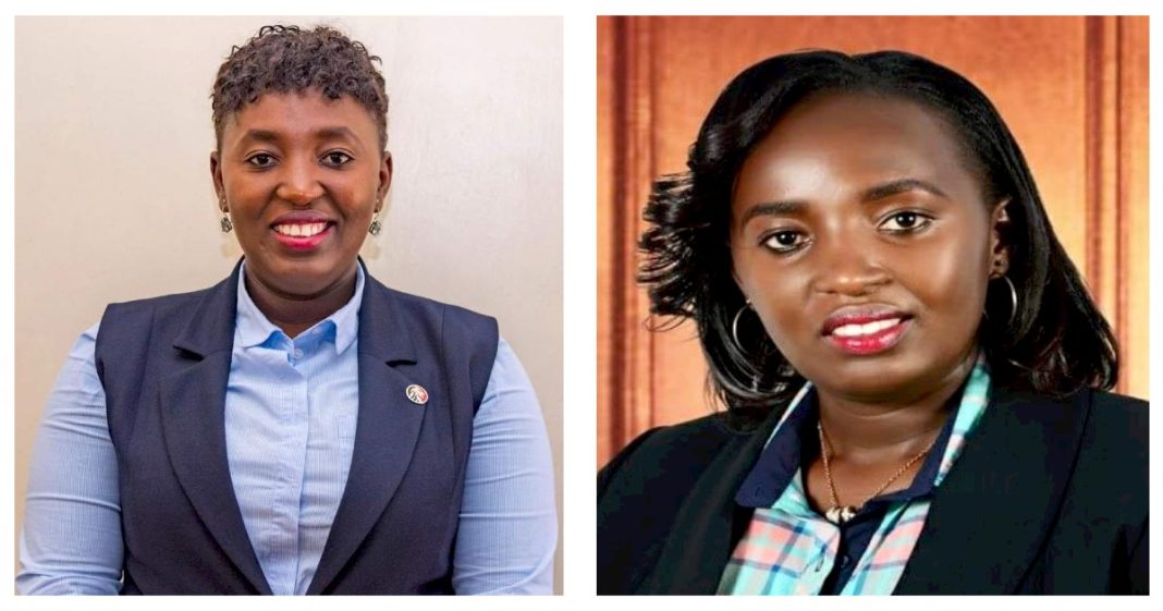 Jennifer Gitiri: Profile Of State Officer Holding 8 Public Jobs, Her Journey From The Slums