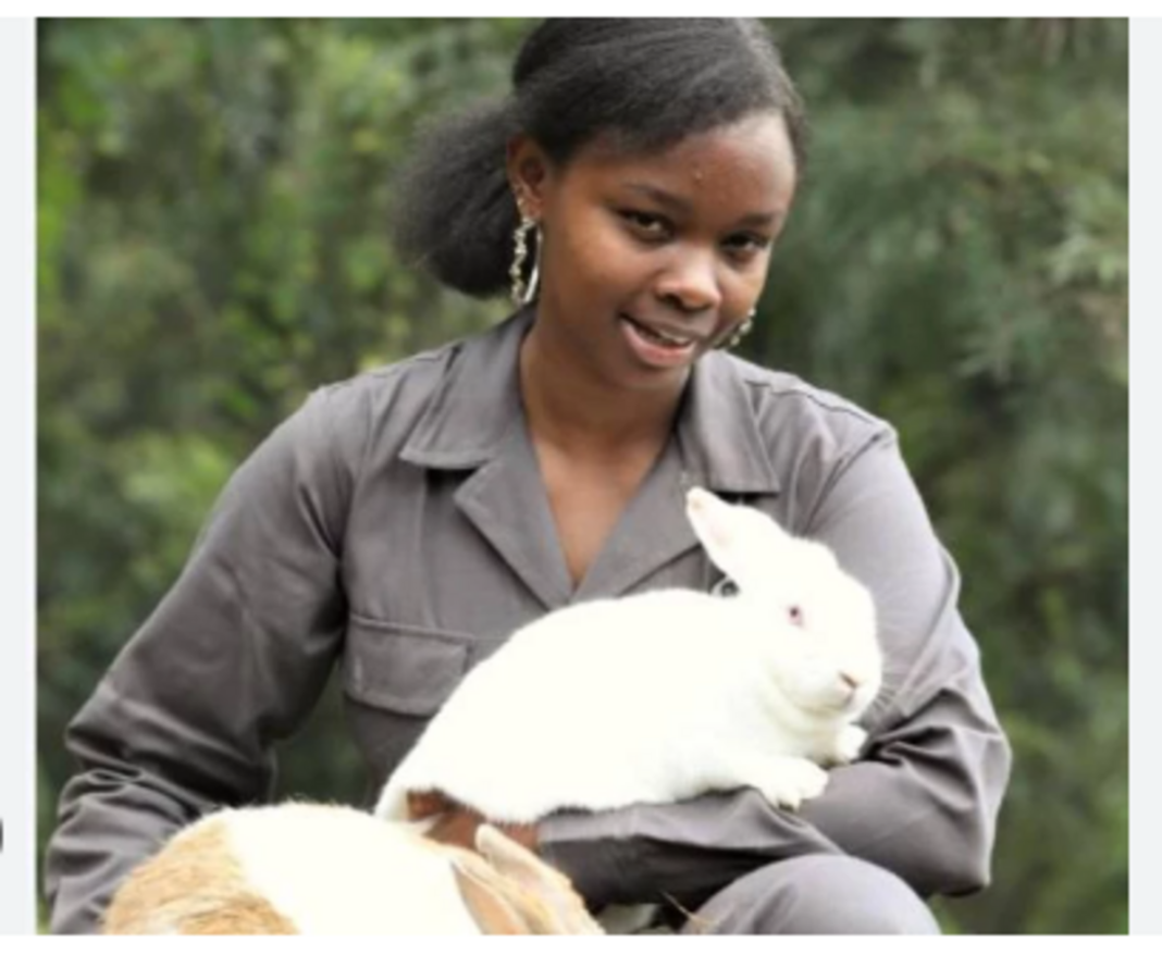 Maureen Wanyaga: Meet JKUAT Graduate Who Chose Rabbit Farming Over Office Job, Says She Does Not Regret