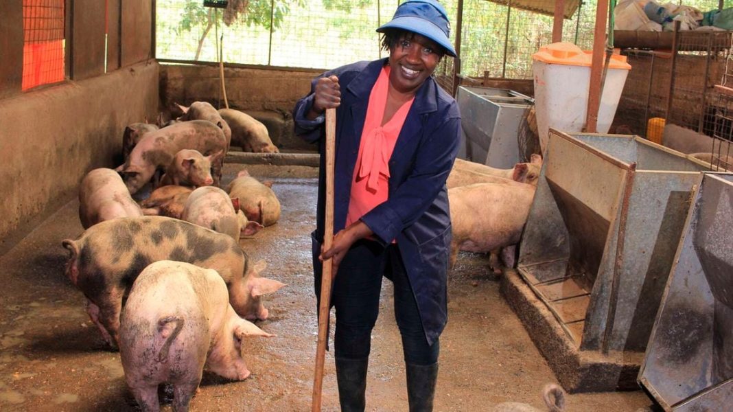 Tech To Troughs: Christine Miyogo's Transition From Senior IT Executive to Leading Piggery Entrepreneur