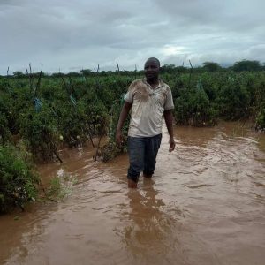 Baringo farmer