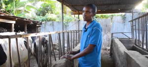 Kiambu dairy farmer Naomi Ruara at her farm. |Photo| Courtesy|