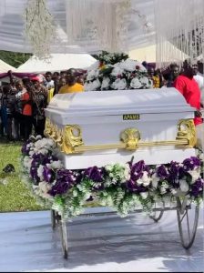 Mr Ibu 