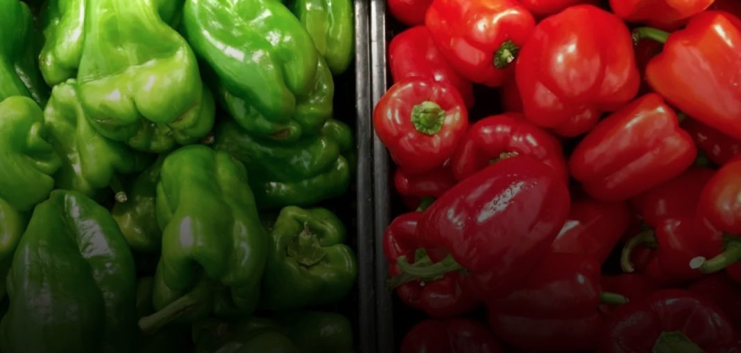 From Rags to Riches: The Inspiring Story of a Kenyan Farmer Making Ksh 15 Million Annually