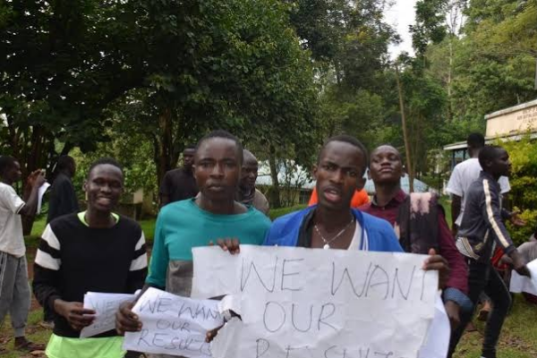 The Mystery of Two Schools Where All Students Received D Results in 2024 KCSE