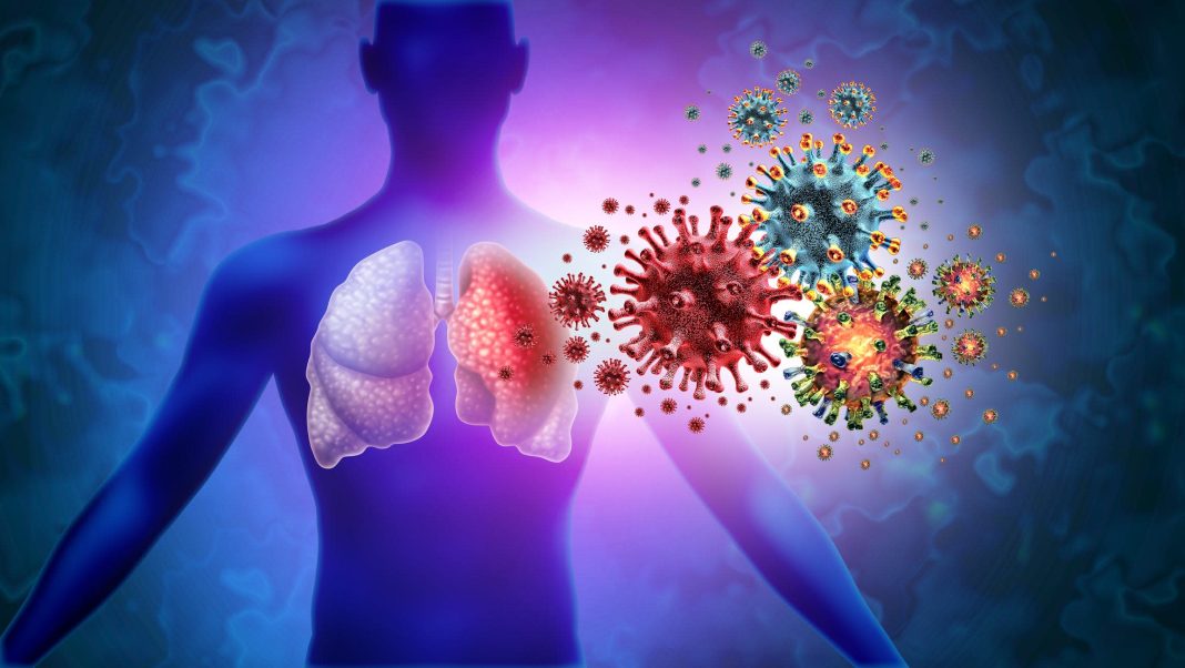 A pictoral illustration of the Human Metapneumovirus (HMPV) virus. |Courtesy| Yahoo News|