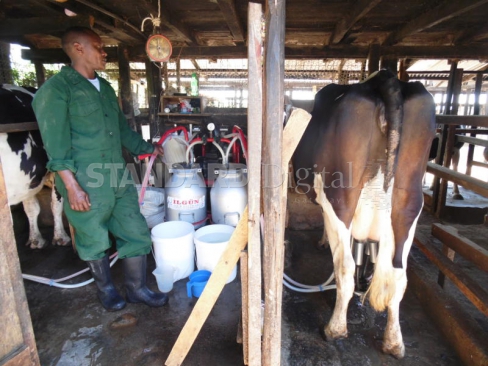 Paul Kipsiele Koech at his Kaso Dairy Farm in Sotik, Bomet County. |Courtesy| The Standard|