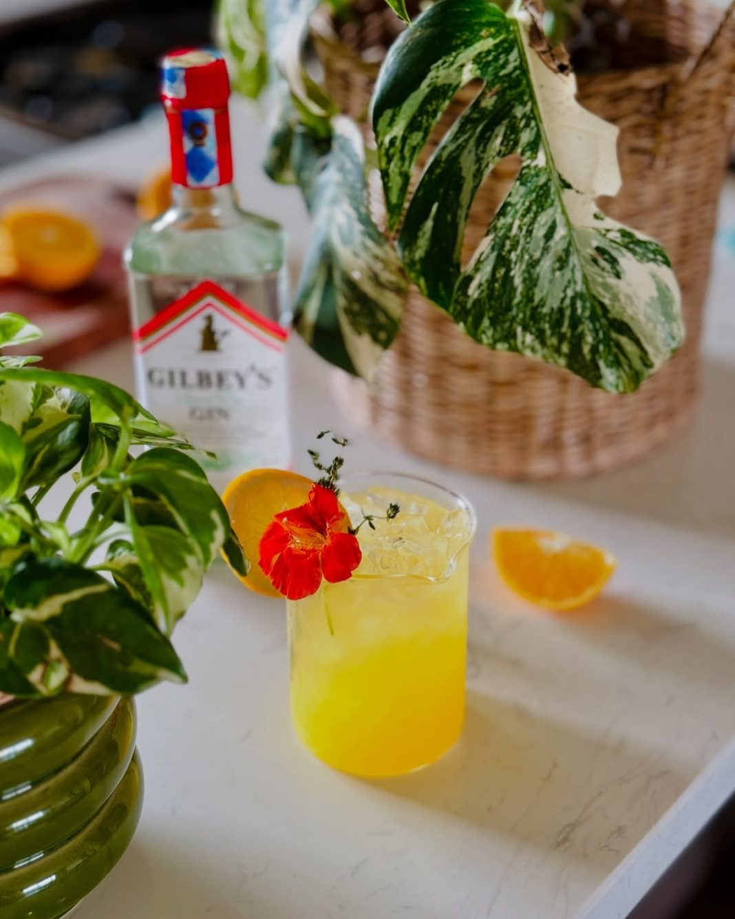 Cocktail