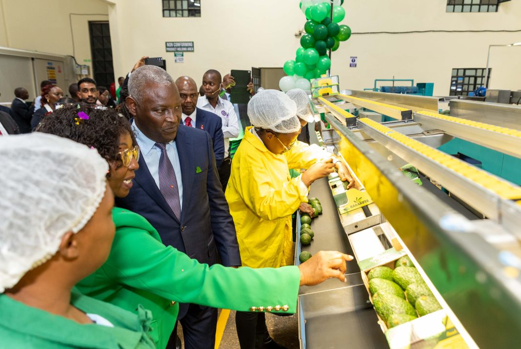Equity Group Managing Director and CEO Dr James Mwangi (3rd left) on a tour of Karakuta Fresh Produce packing plant led by the Karakuta CEO Grace Ngungi (2nd left).