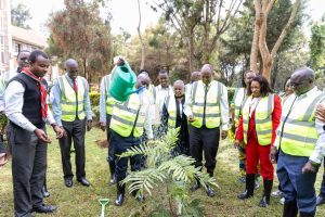 Teachers Service Commission (TSC) Chairman, Dr. Jamleck Muturi waters a tree after planting at Alliance High School.