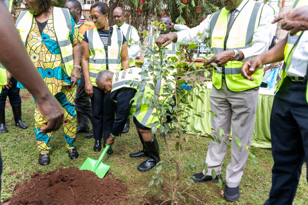 Equity Bank Kenya Associate Director, Public Sector and Institutions, Ambassador Mary Mugwanja plants a tree at Alliance High School during the launch of a weeklong country tree planting initiative by the Teachers Service Commission (TSC) ahead of World Teachers Day celebrations.