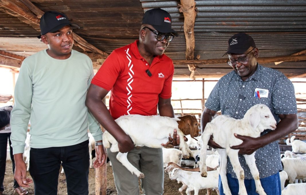 Equity Bank Kenya Managing Director, Moses Nyabanda (centre) and Izera Ranch owner Wambugu Kariuki (right) inspect three-week-old lambs at the ranch, while Equity Bank Kenya General Manager, Productivity and Performance, Dr. Samuel Muchuku watches on.